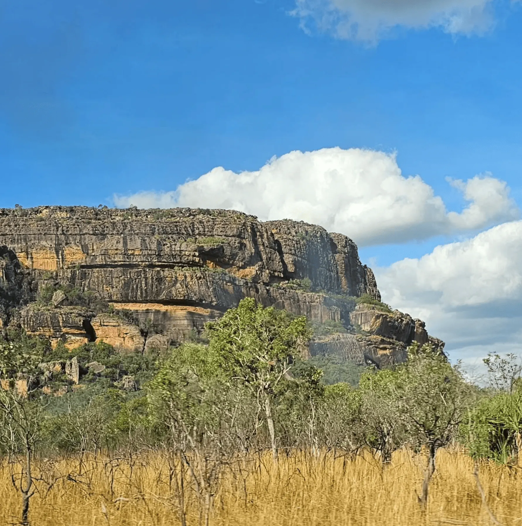 Northern Land Council