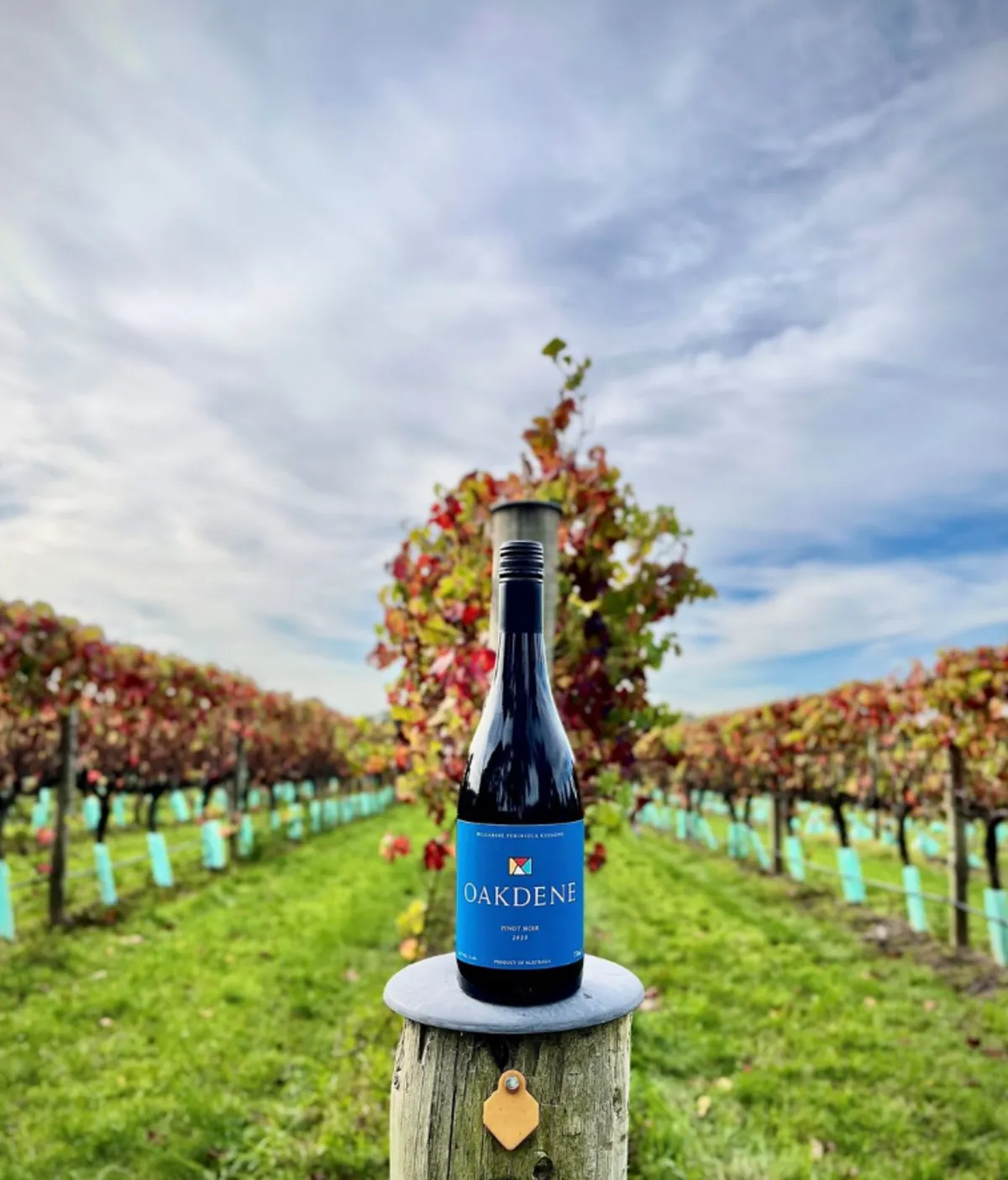 Oakdene Winery