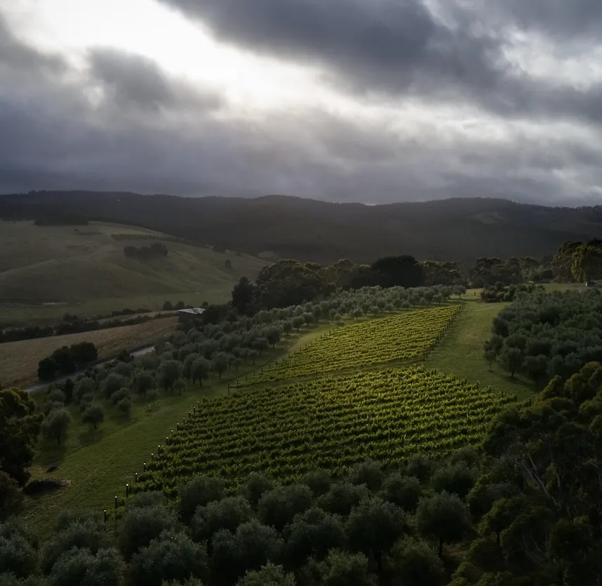 Otway Harvest Trail