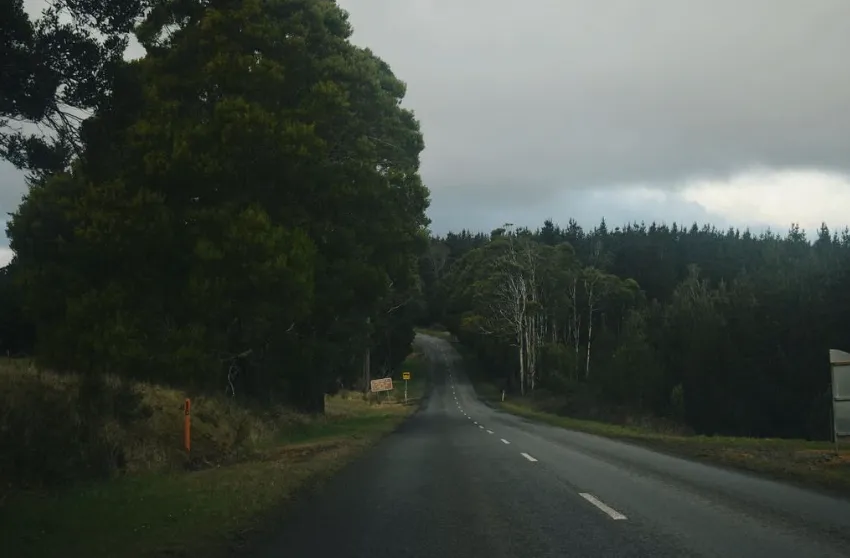 Otway National Park