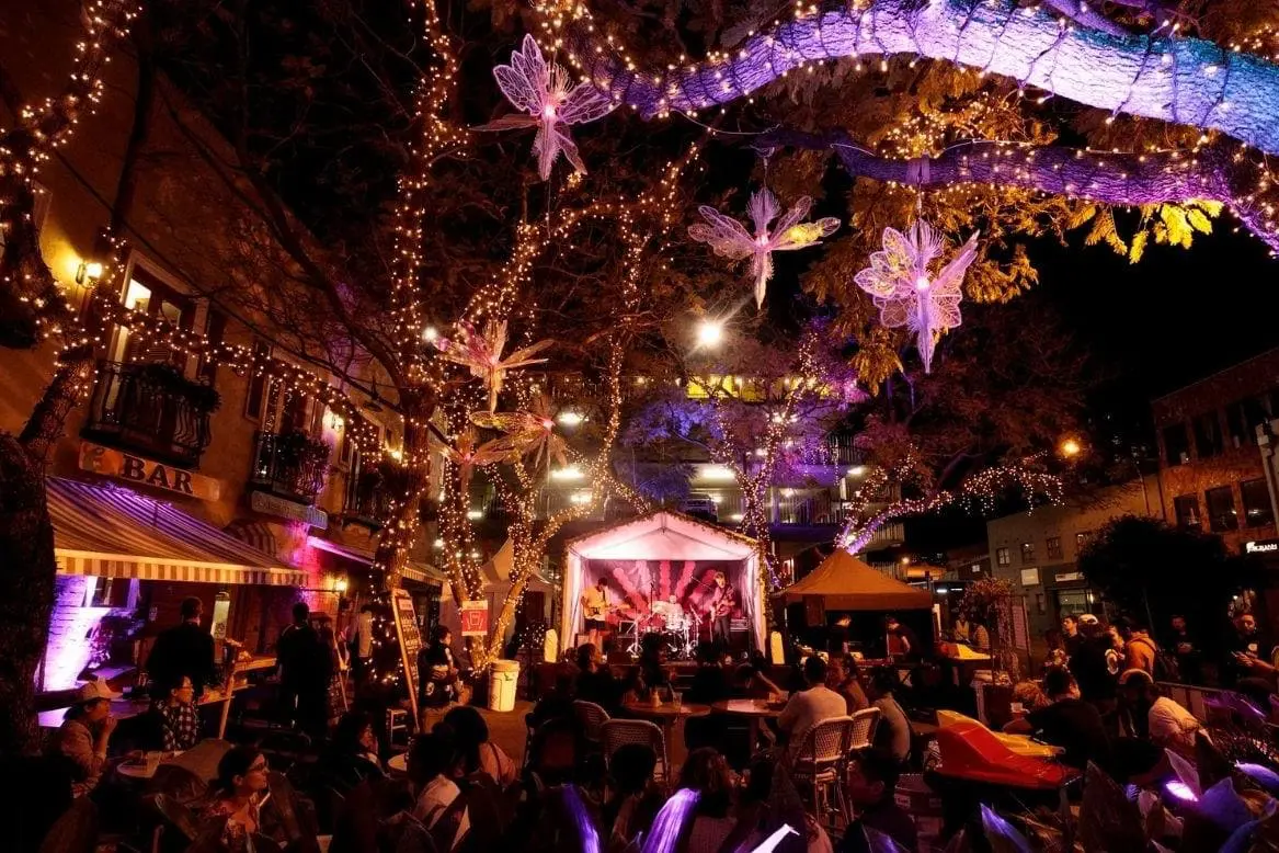 Parramatta festivities and functions