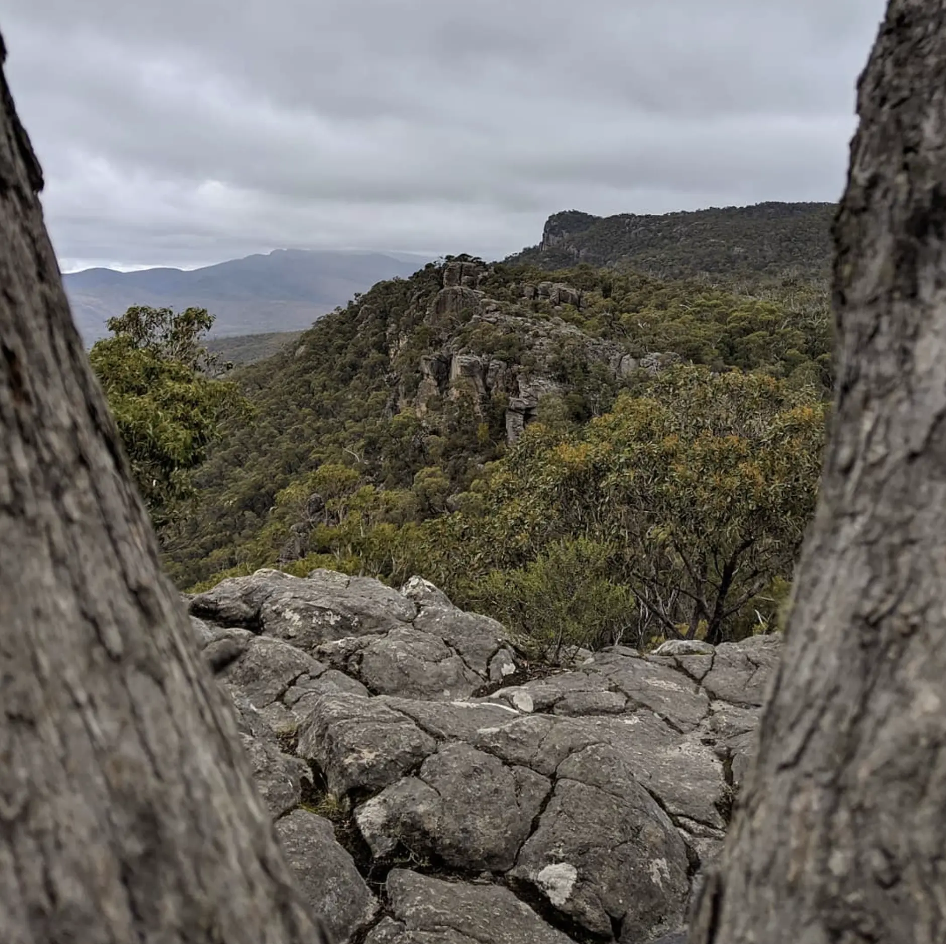 Peaks Trail Highlights