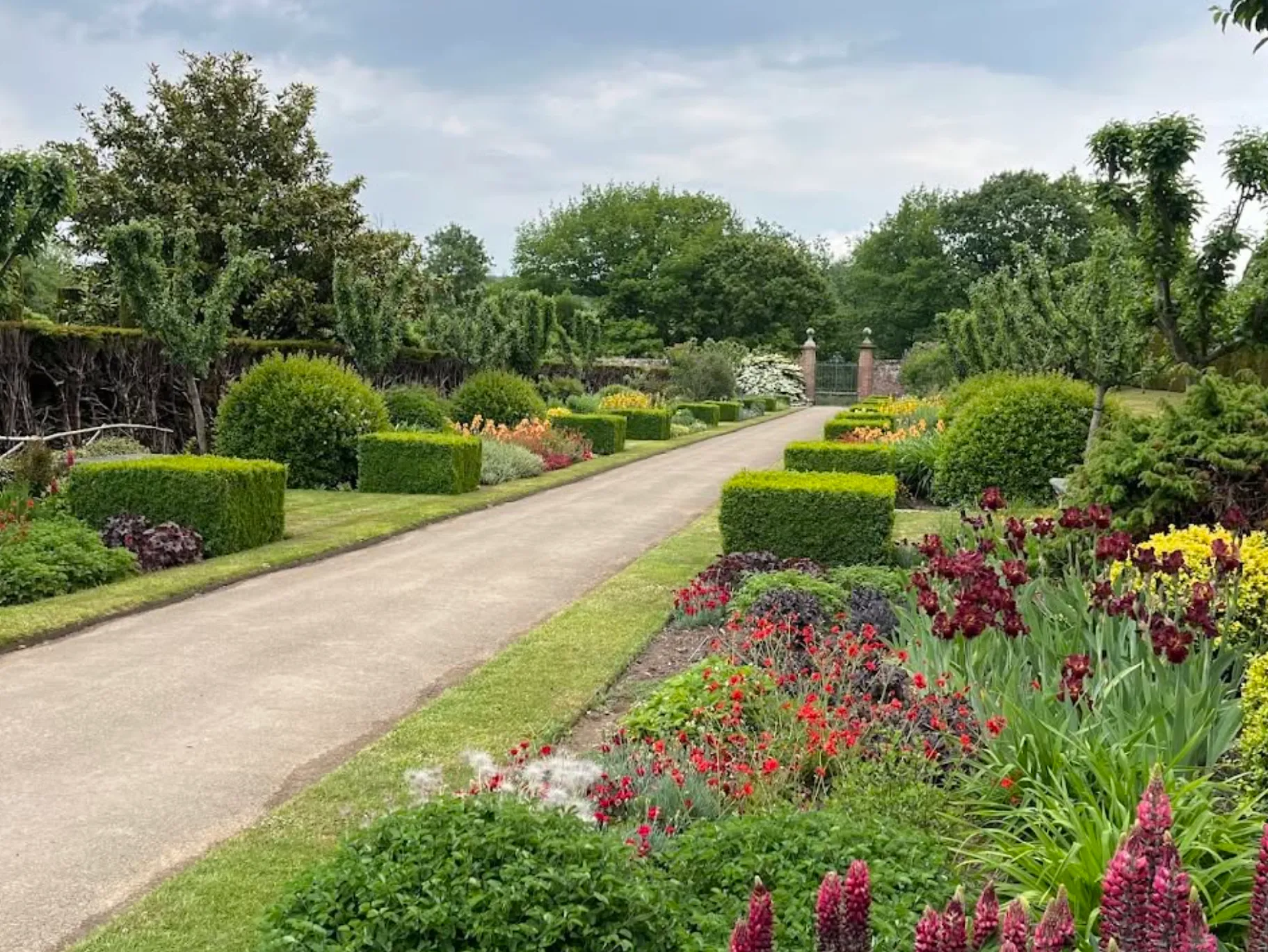Penshurst Botanic Gardens