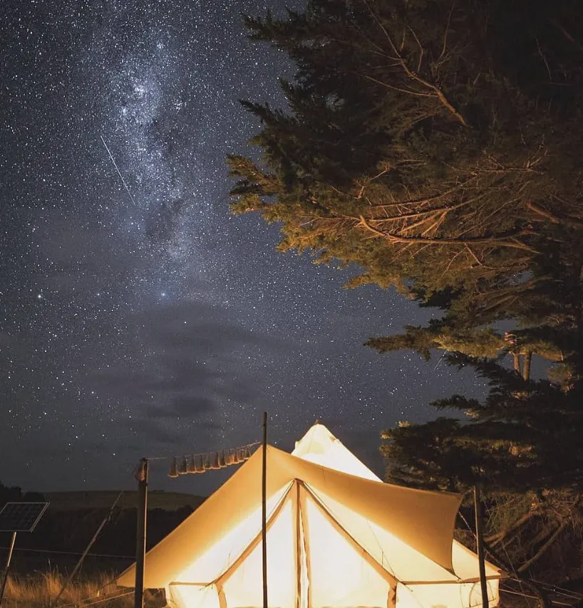 Perfect Spots to See While Camping on Phillip Island