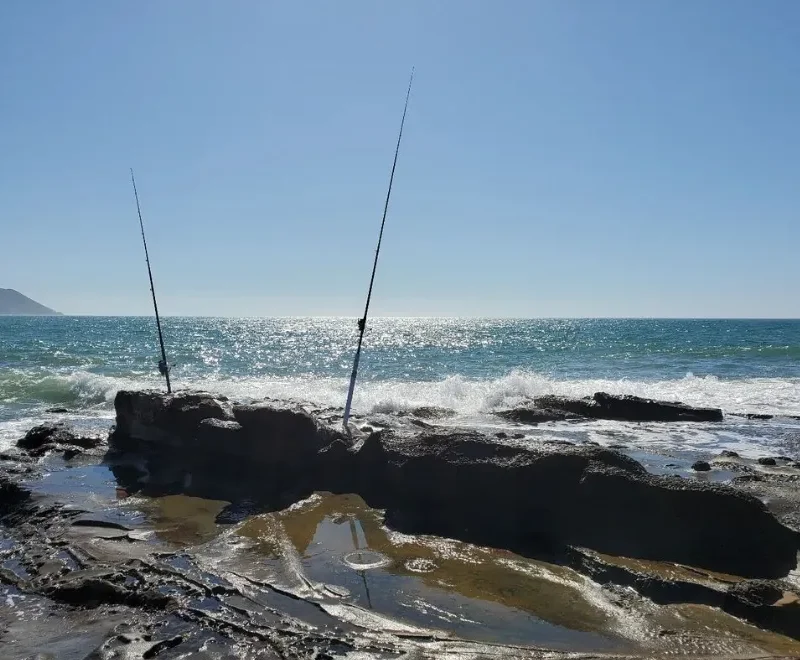 Phillip Island Fishing