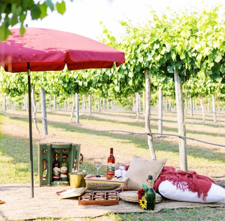 Picnic in the Vineyards
