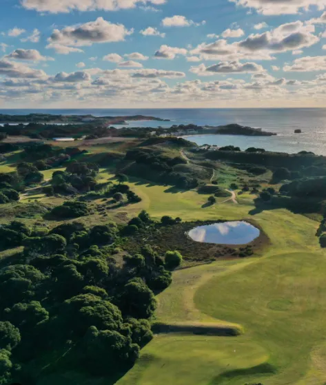 Play golf