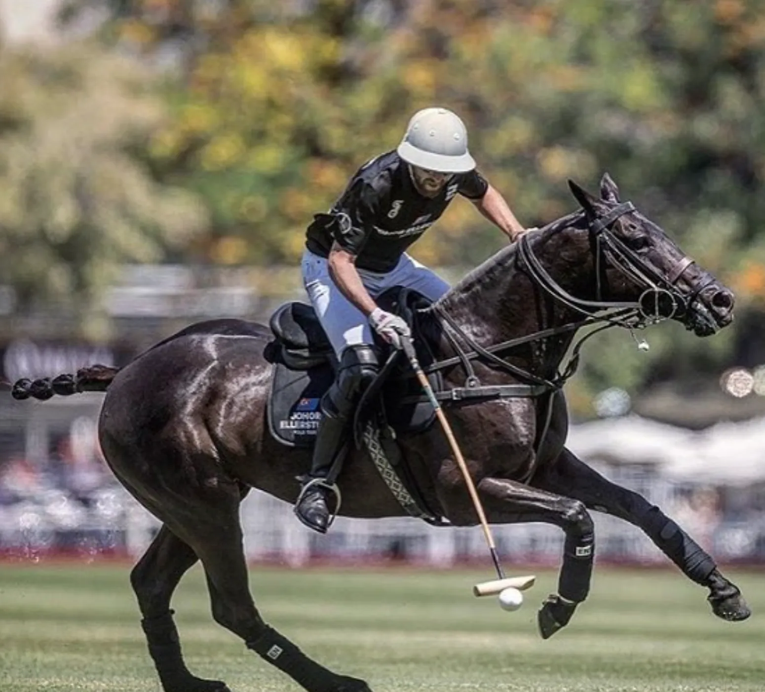 Polo Club