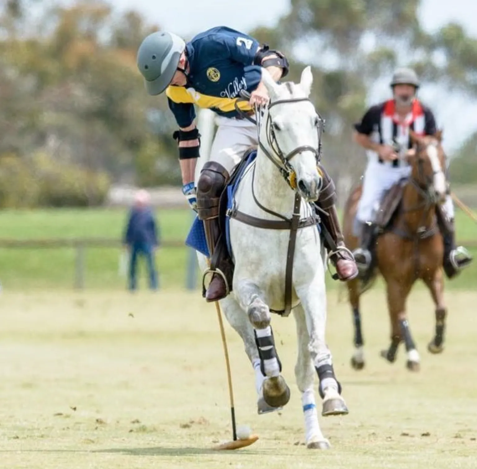 Polo Tournament Yarra Valley