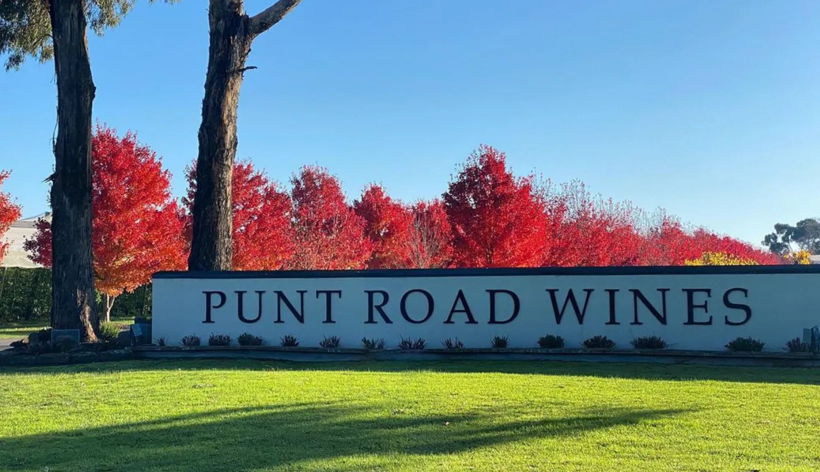 Punt Road
