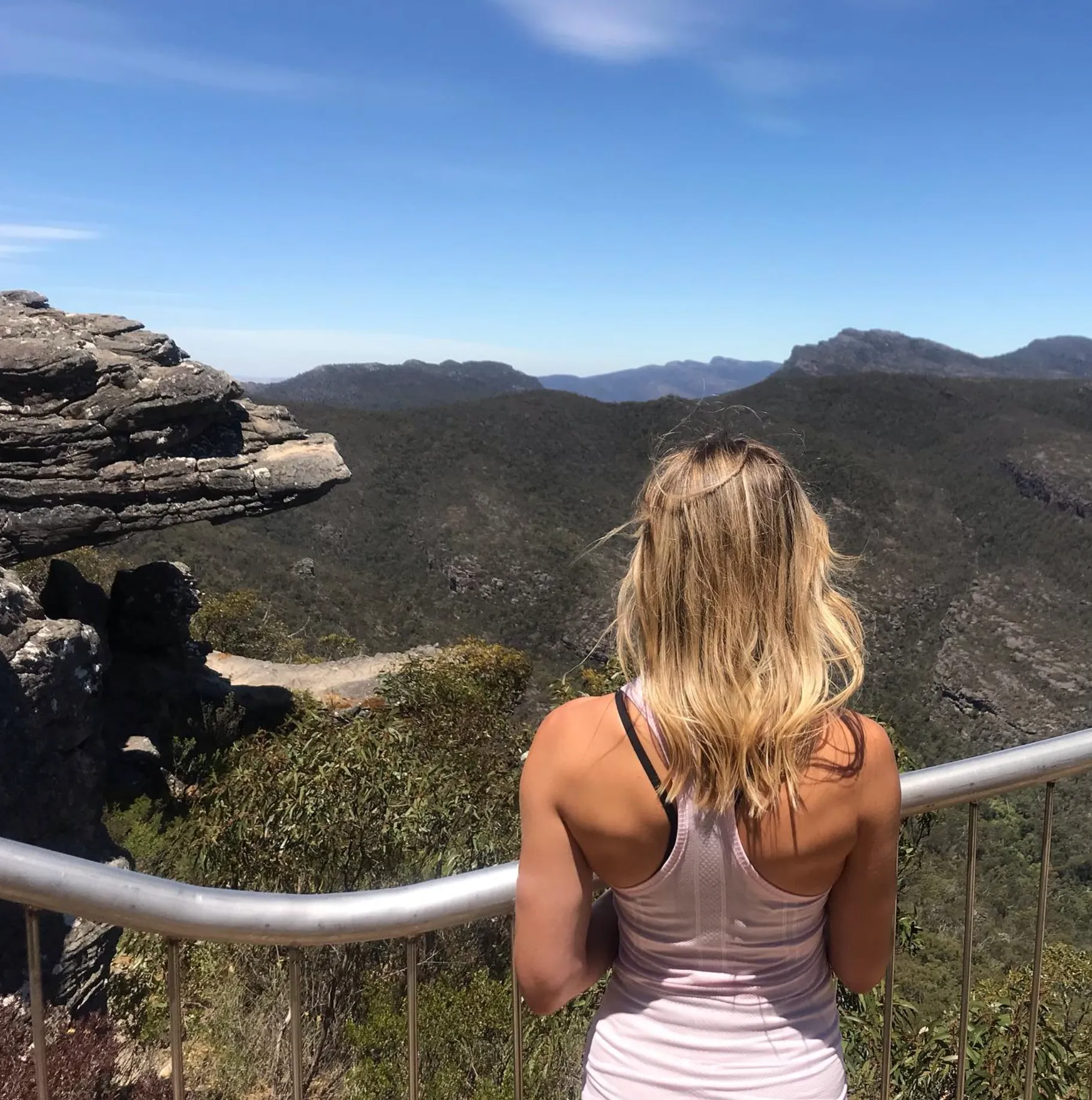 Reed Lookout