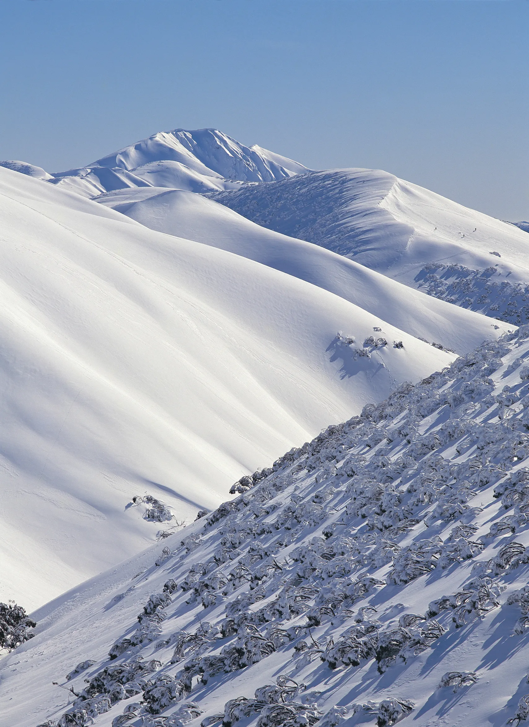 Relax with Alpine Views