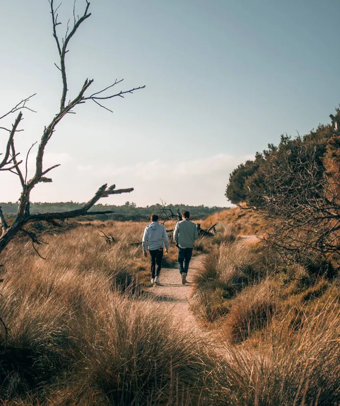 Rhyll Mangrove Boardwalk