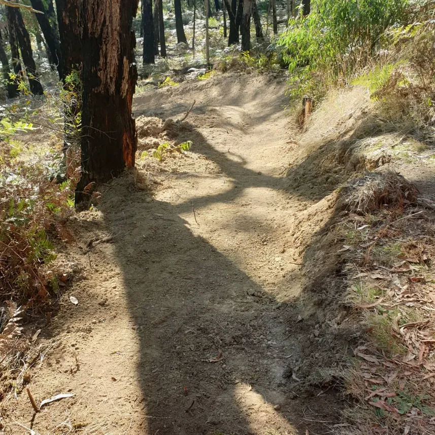 Ride Forrest Bike Trails