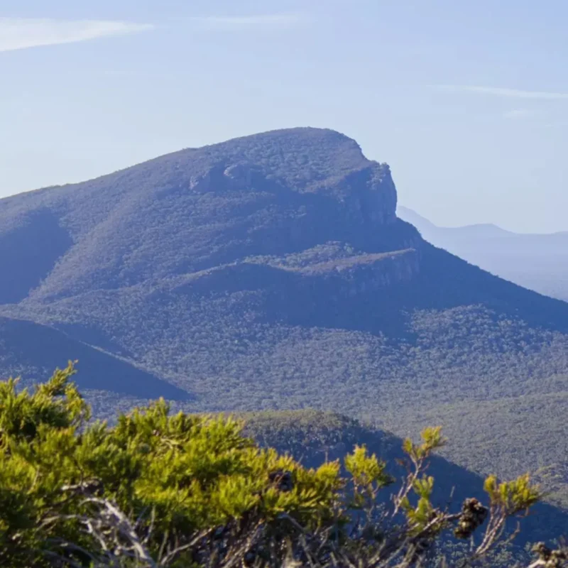 Rosehaven Farms, Grampians