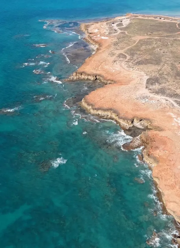 Seal Rocks and Wildlife