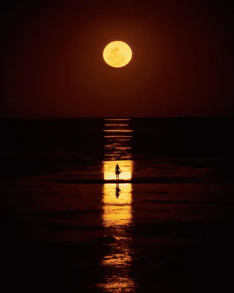 See the stunning Staircase to the Moon