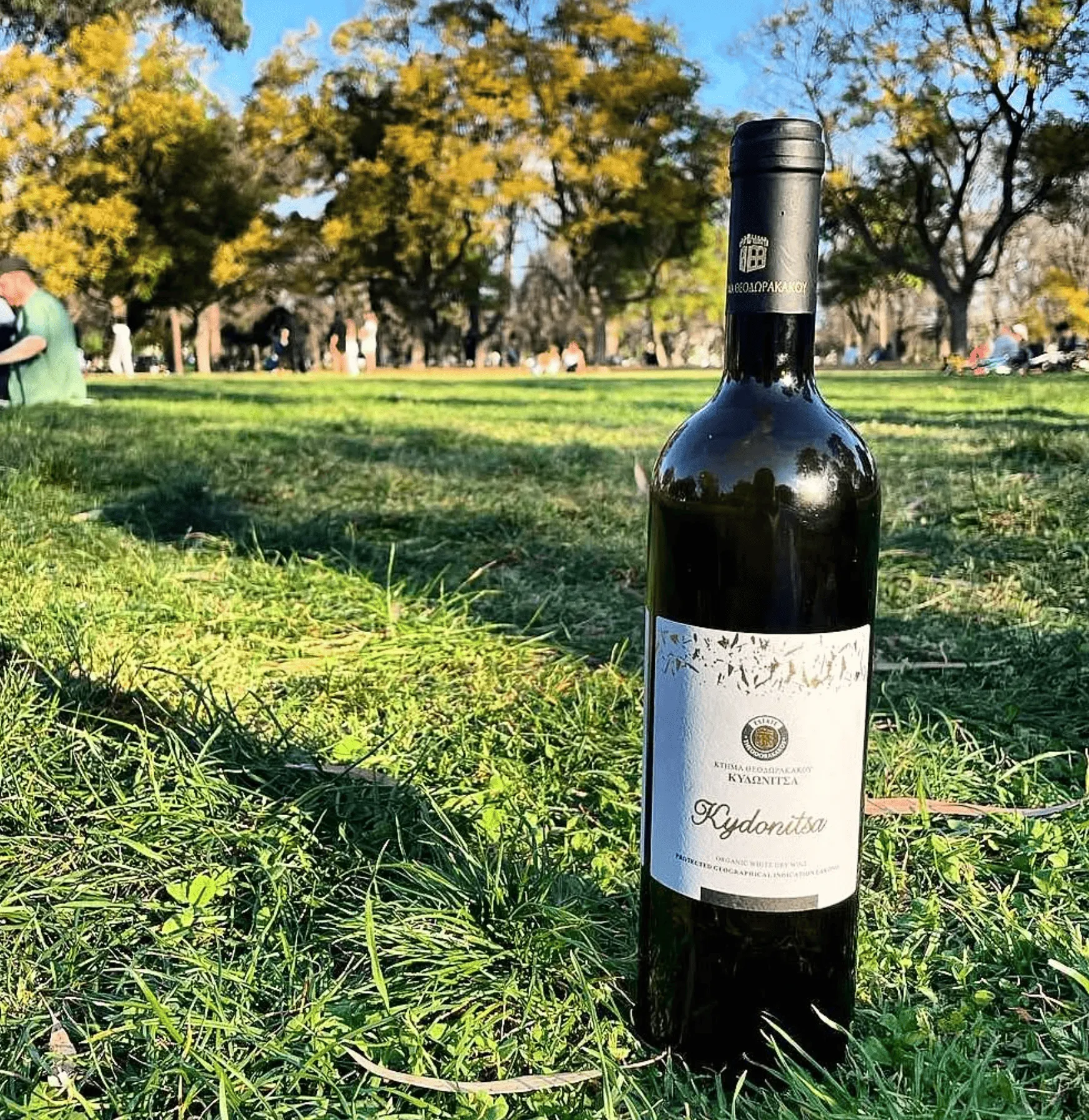 Signature Wines