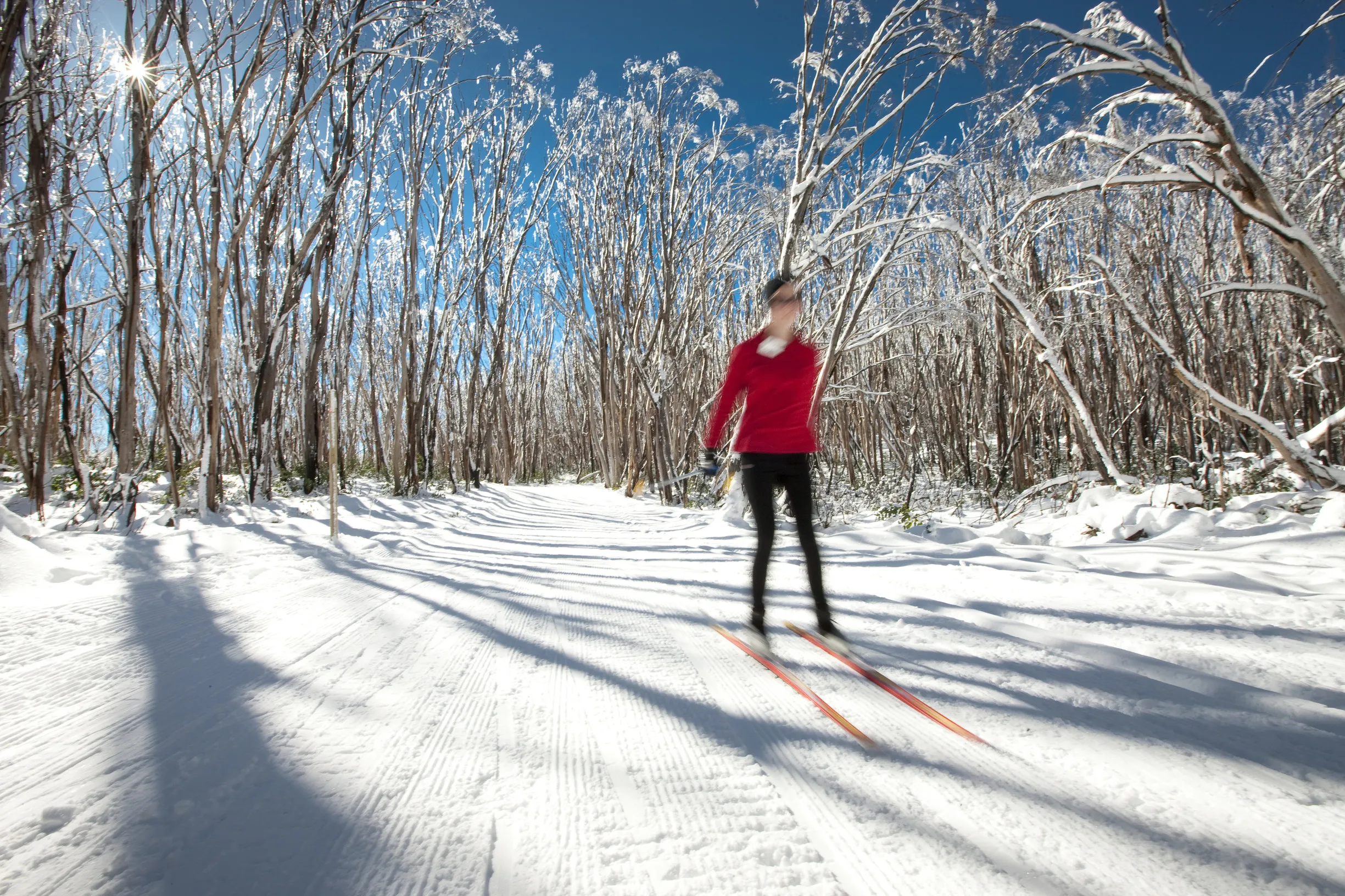 Ski into Fitness