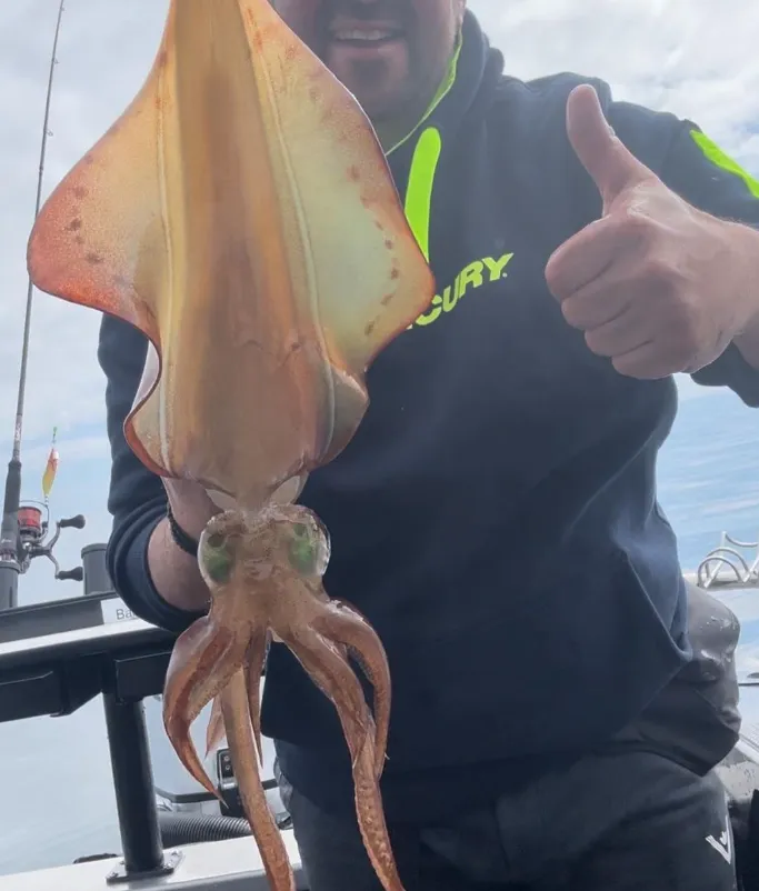Squid Fishing