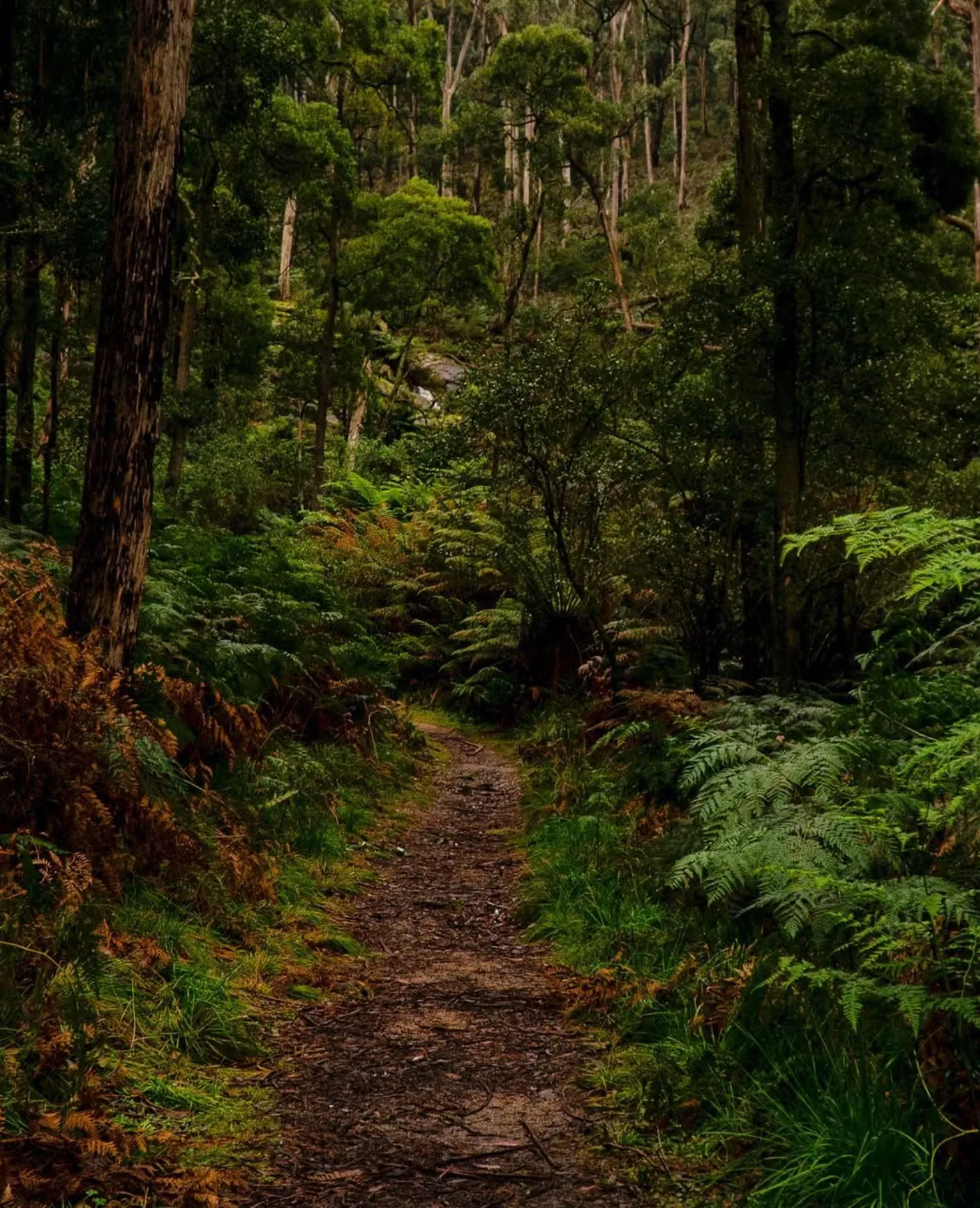 State Park Trails