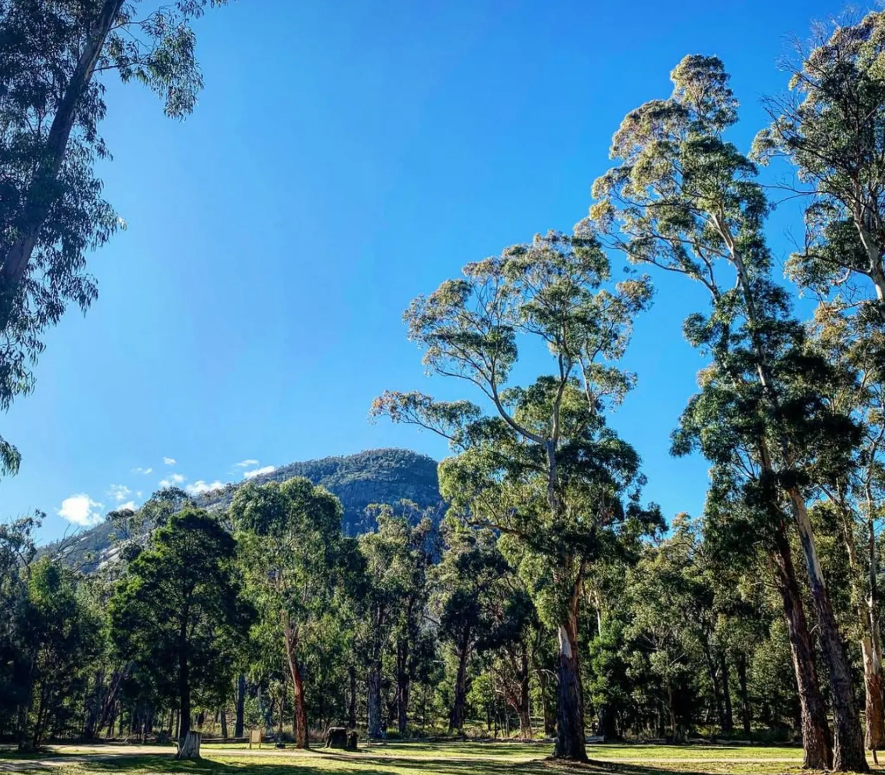 State Park
