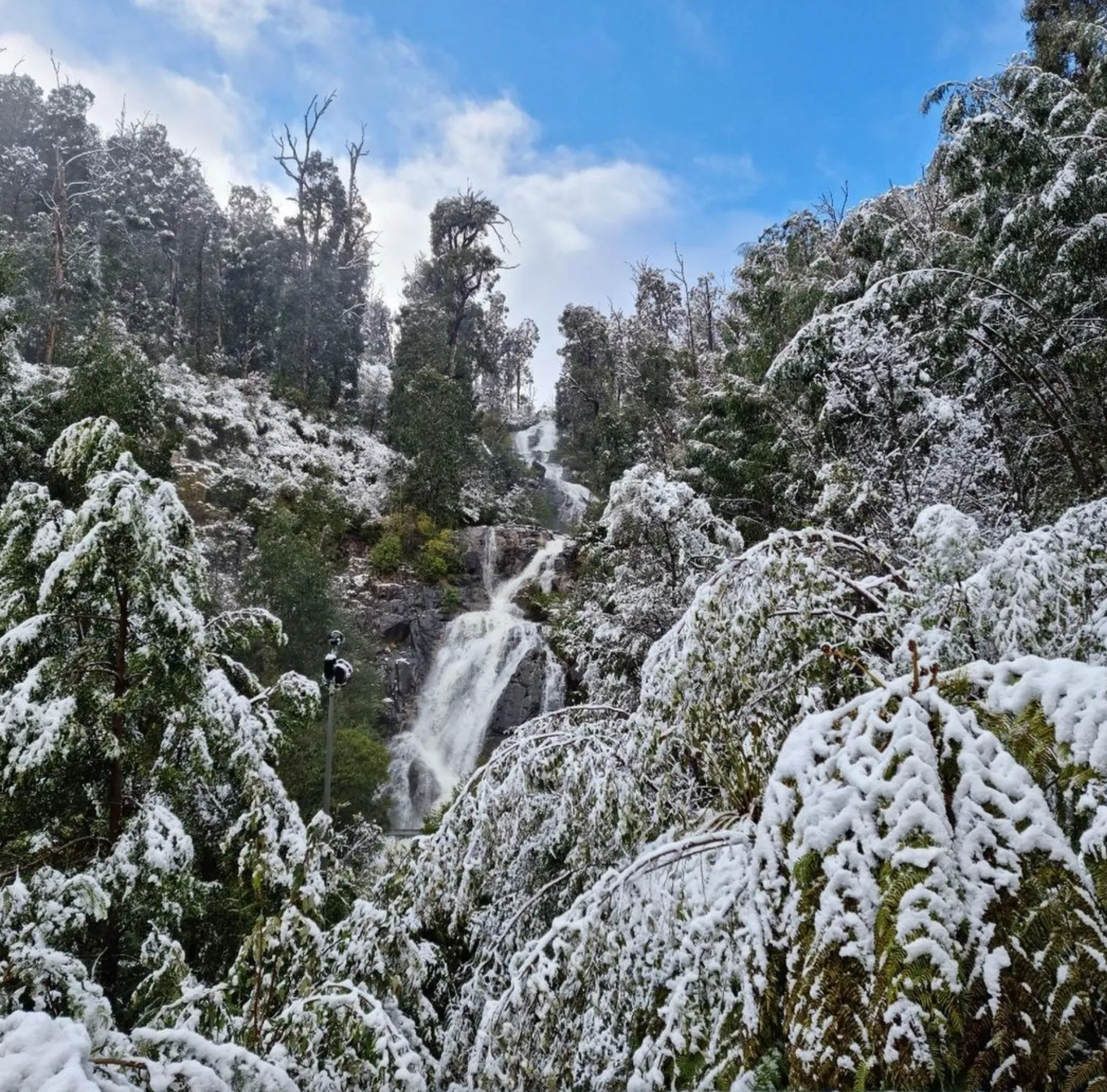 Steavenson Falls
