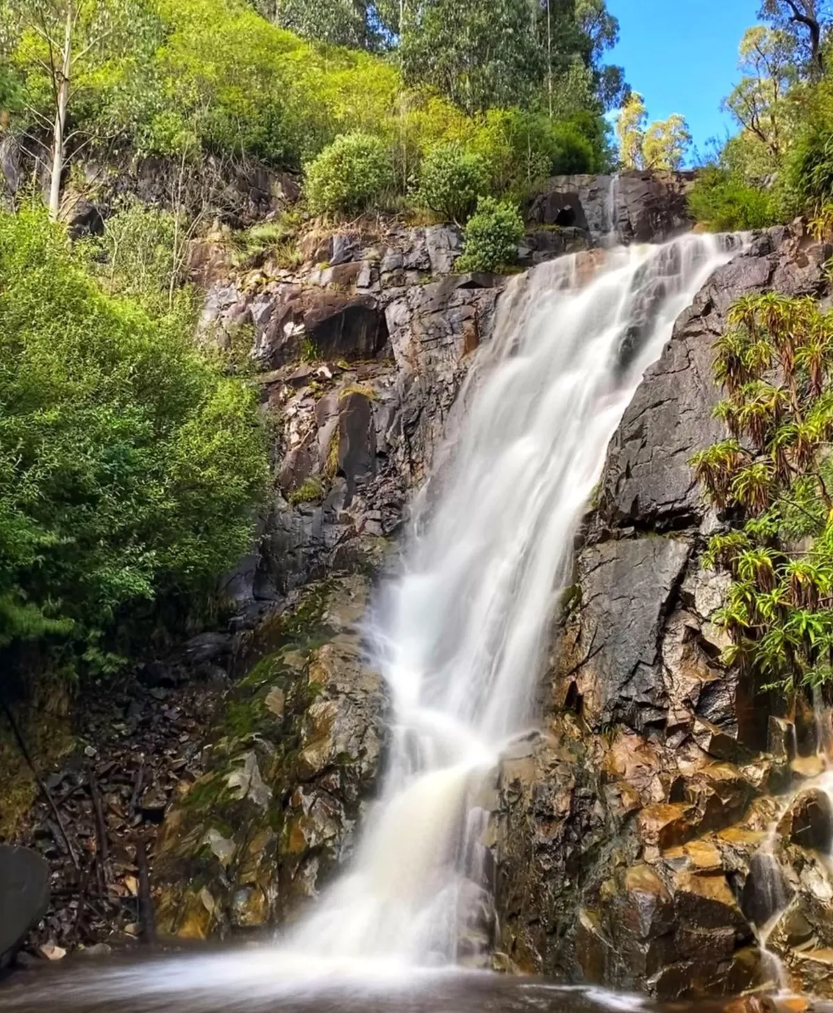 Steavenson Falls
