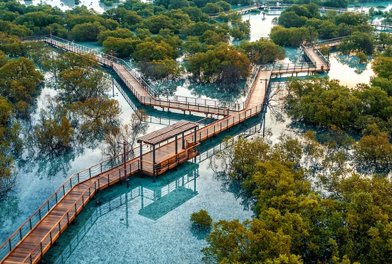 Stroll along the mangrove boardwalk