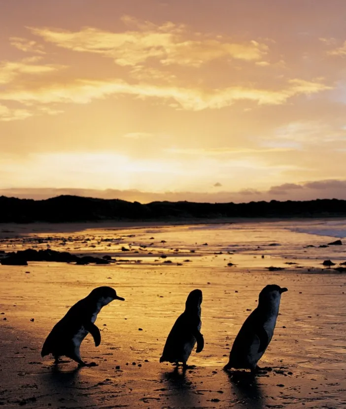 Summerland Beach