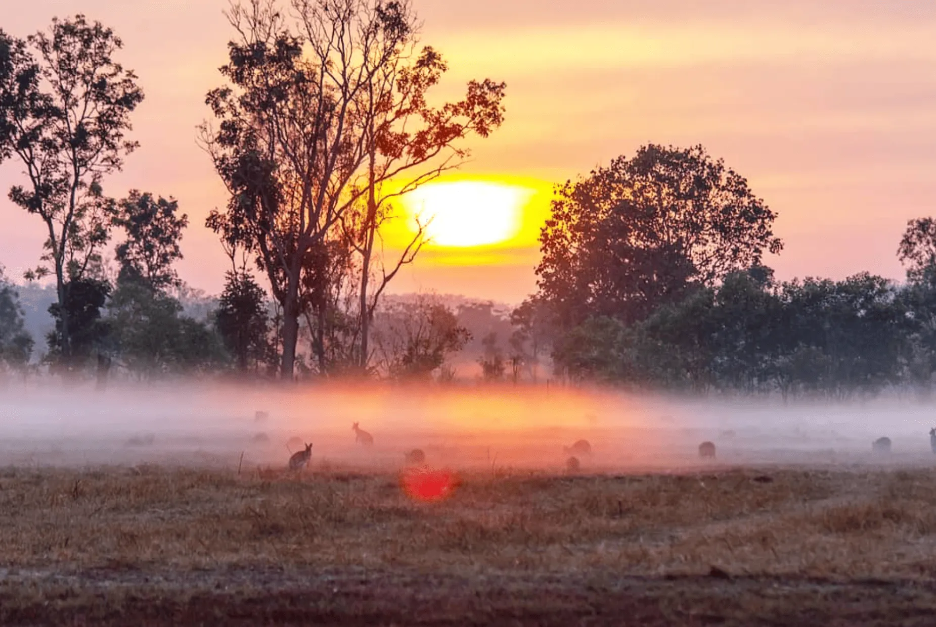 Sunset Walks and Photography Tours