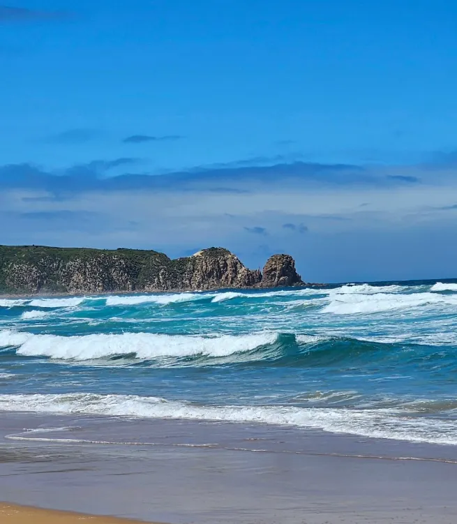 Surfing History