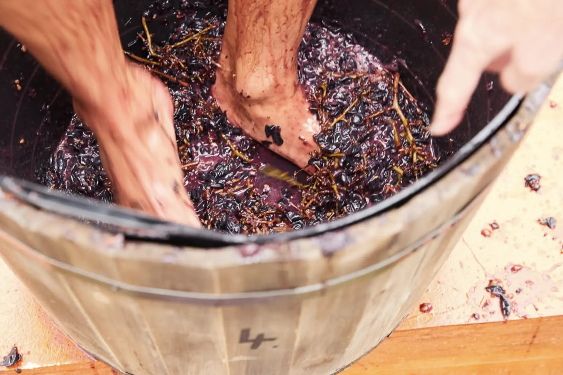 Take Your Time to Wine