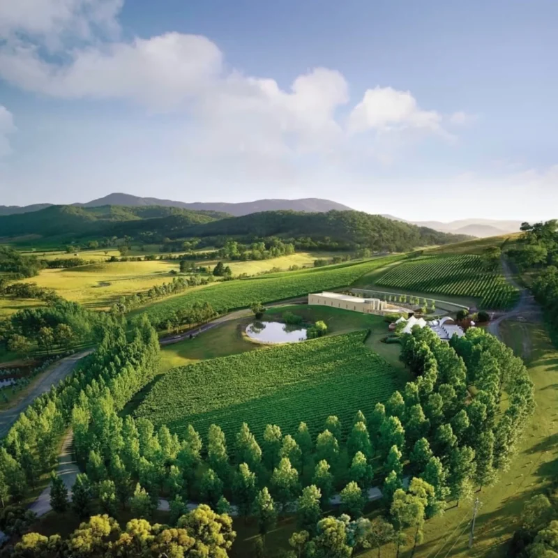 TarraWarra Estate