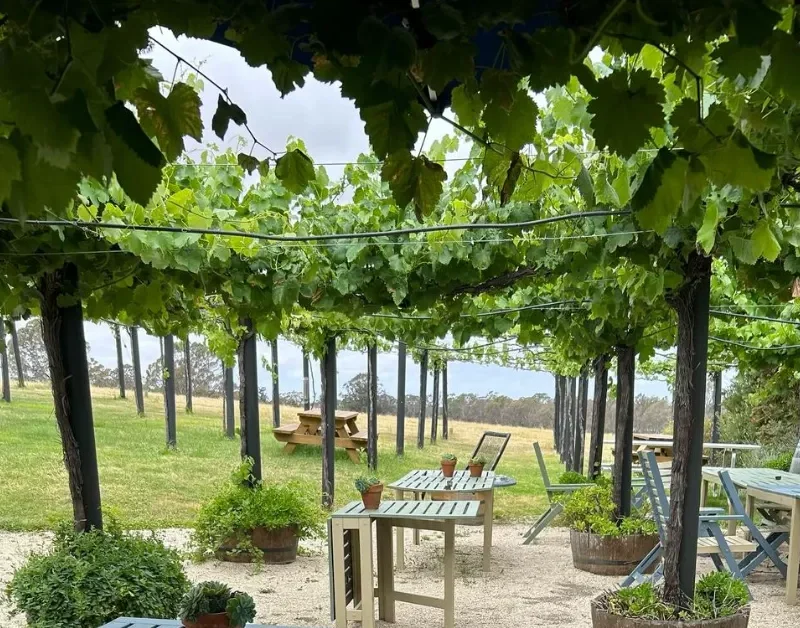 Taste the Best Wines of the Great Ocean Road Region