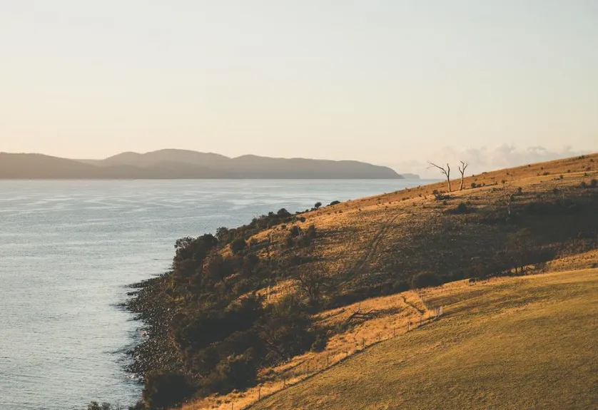 Thatcher Point