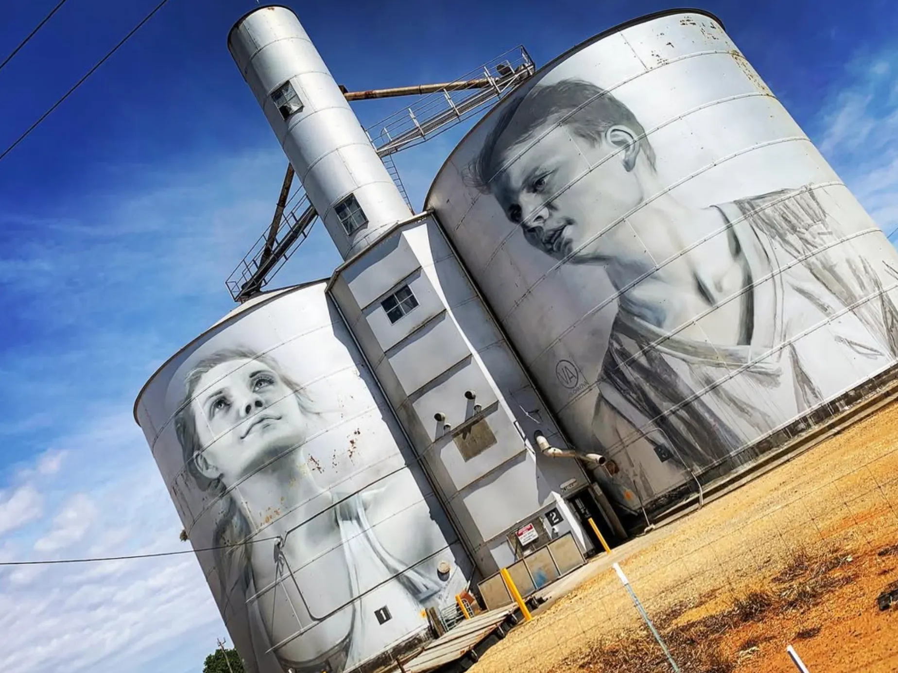 The Artwork