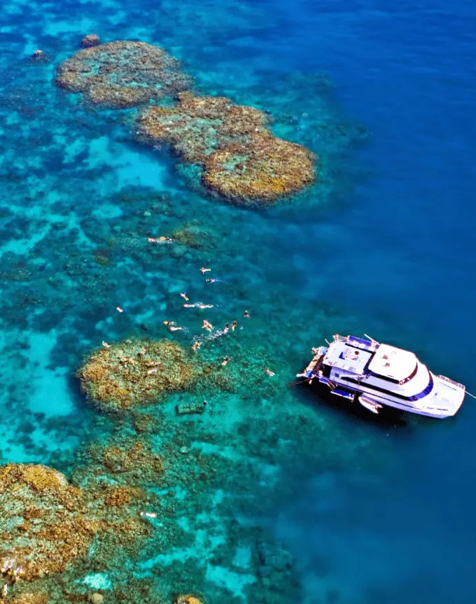 The Great Barrier Reef is amazing