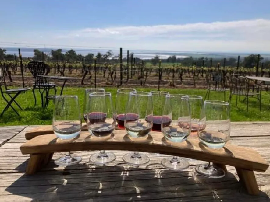 The Gurdies Winery