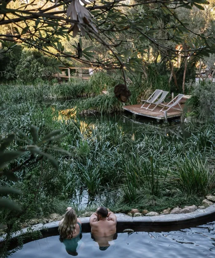 The Hot Springs Sanctuary