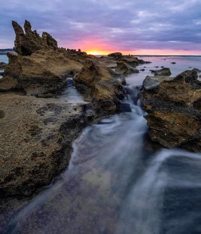 The Rock Pools