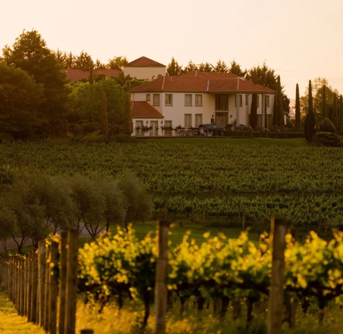 The Small Winery Charm