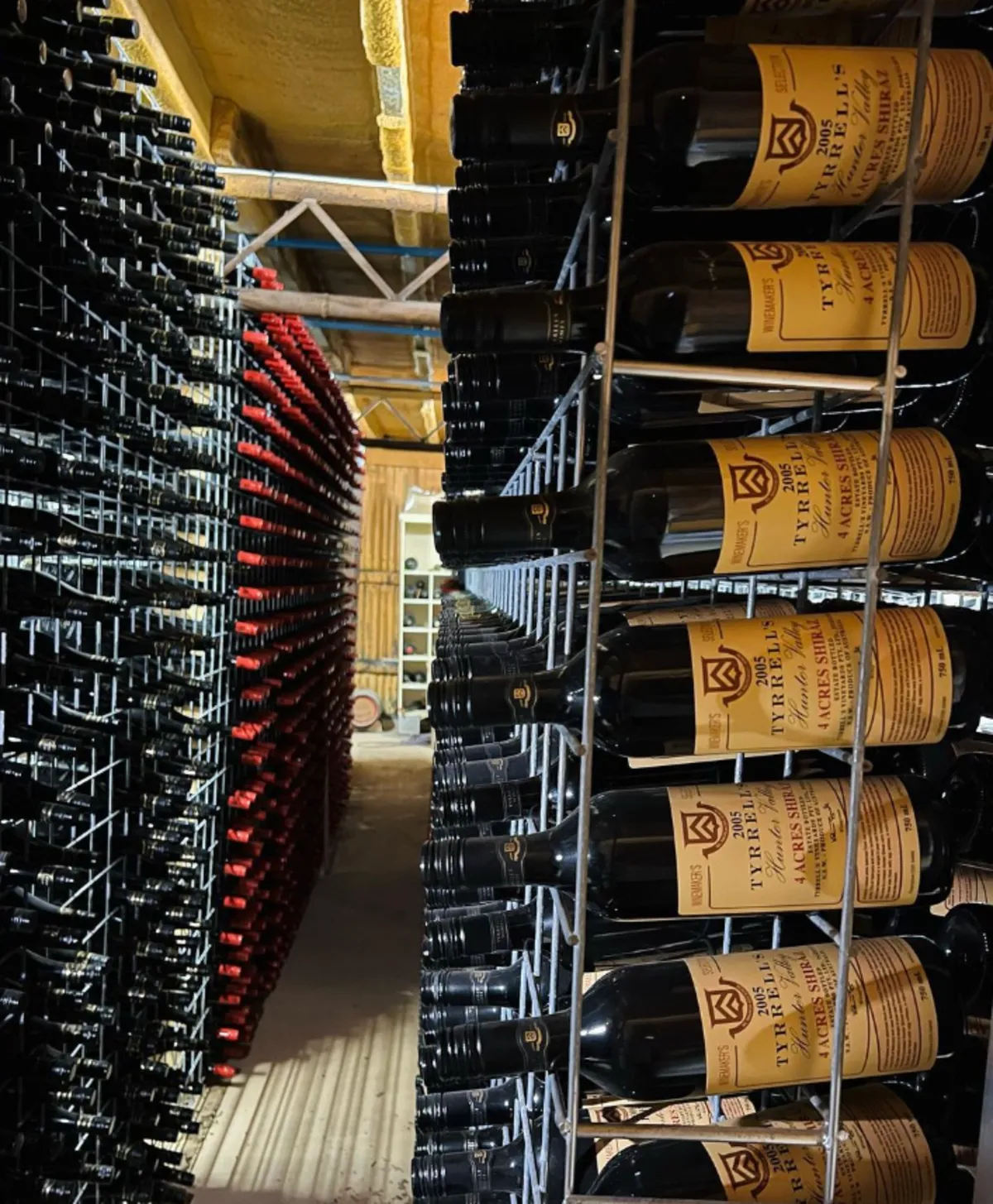 The Tyrrell family vineyards