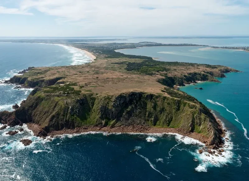 The best time to visit Phillip Island