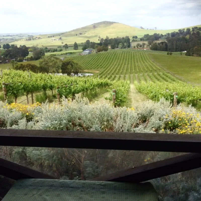 The region’s bounty Yarra Valley