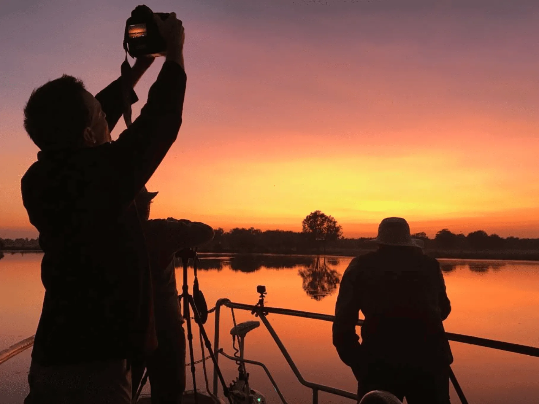 Tips for spotting must-see bird