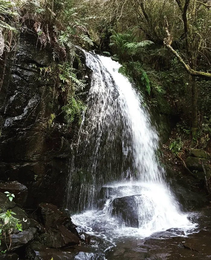 Tips Cora Lynn Cascades