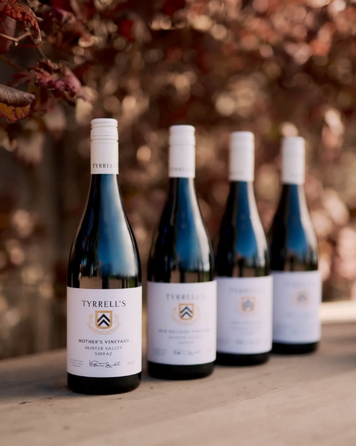 Tirrell's Shiraz