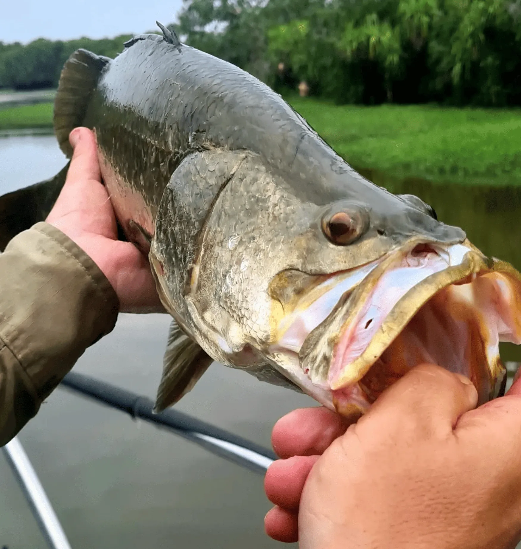 Top Fishing Spots in Kakadu