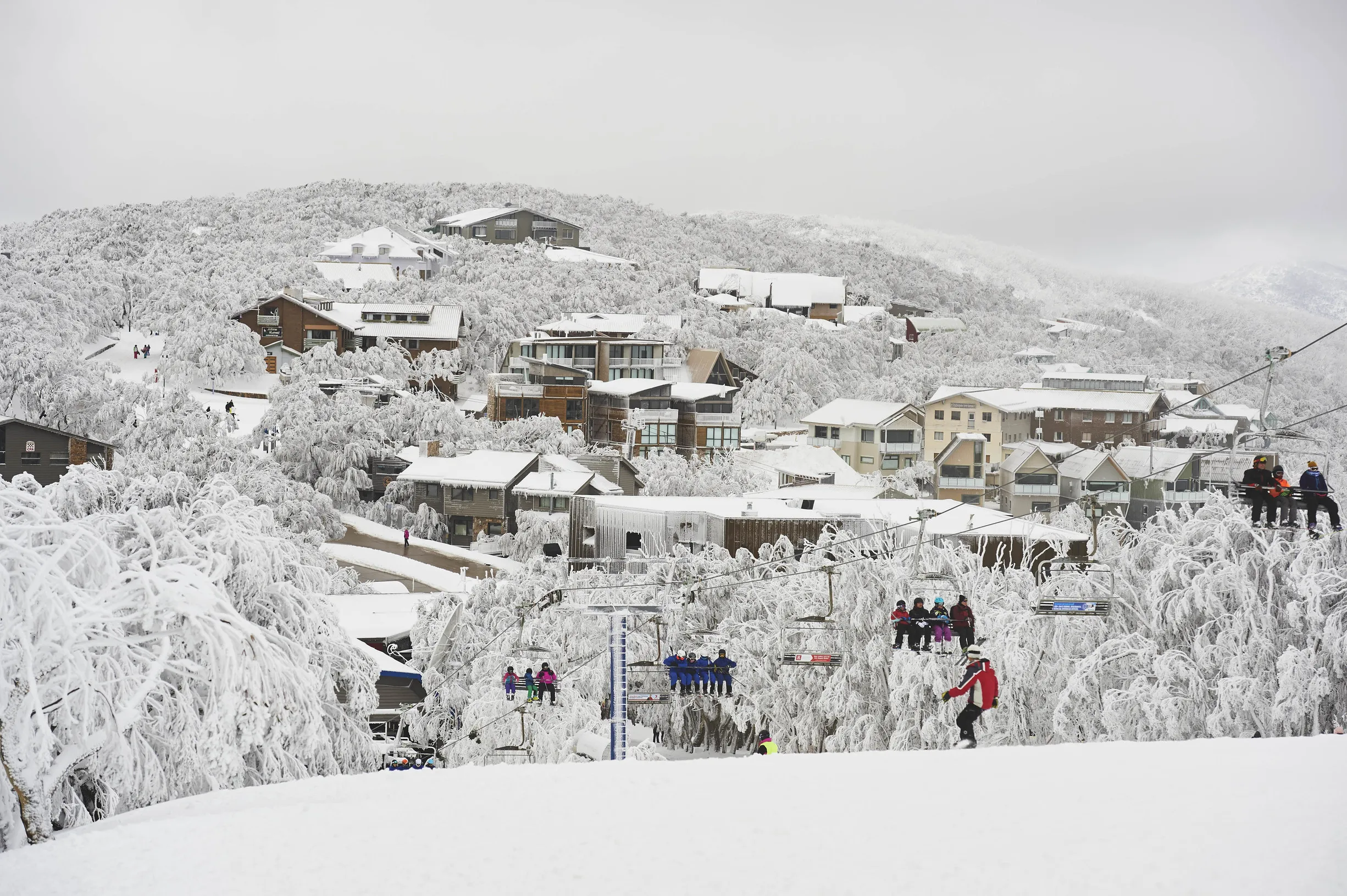 Top Reasons to Snowboard